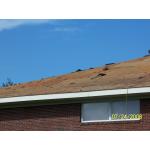 prep-westshingles07.JPG